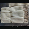 Frozen Squid Tubes And Tentacles Frozen Squid Products T+T Todarodes Pacificus Factory